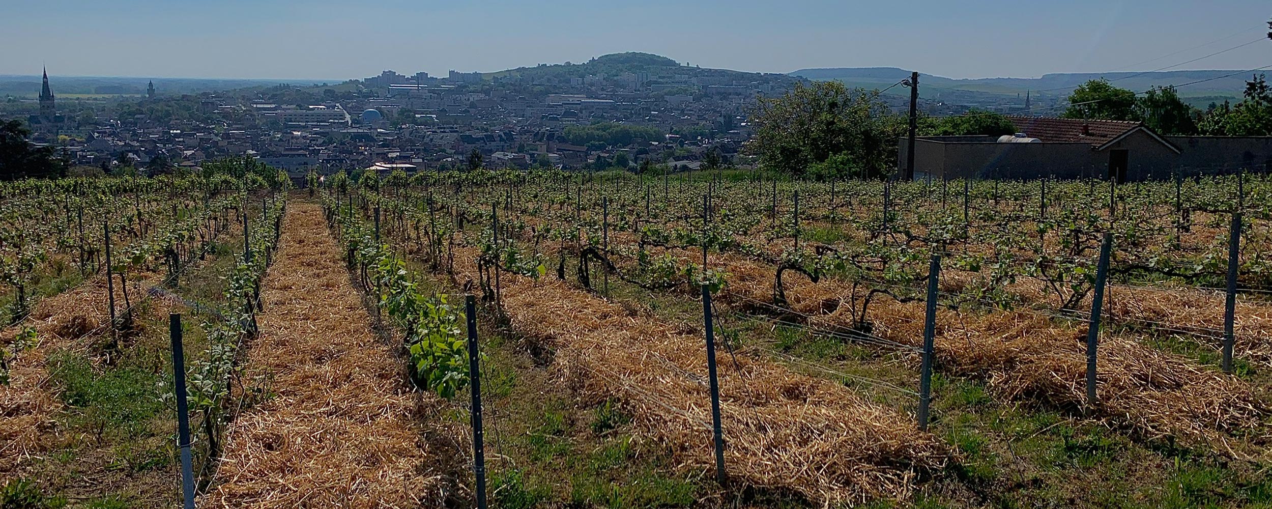 Champagne Michel Gaillot